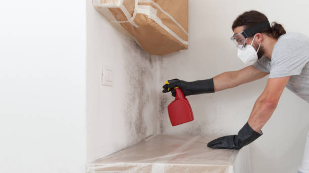 Professional Attic Mold Remediation technician working in Elgin, OR