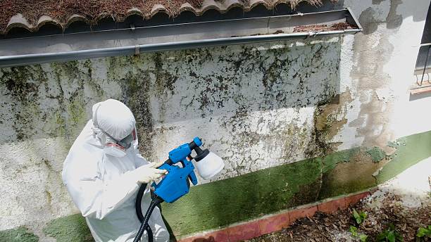 Top rated local Attic Mold Remediation specialists in Elgin, OR